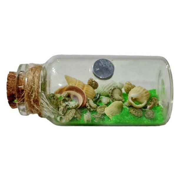 decoratiune magnetica, sticla cu scoici si nisip verde, 6 cm