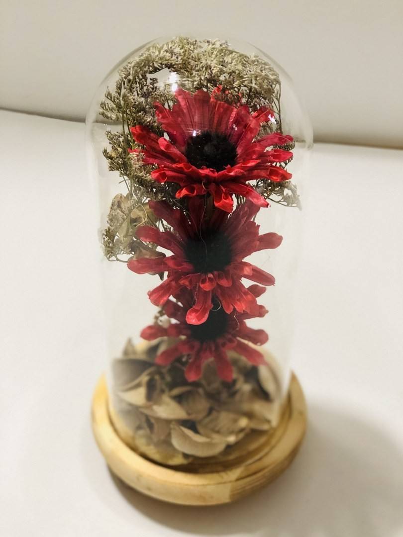 Flori naturale in cupola de sticla si suport de lemn