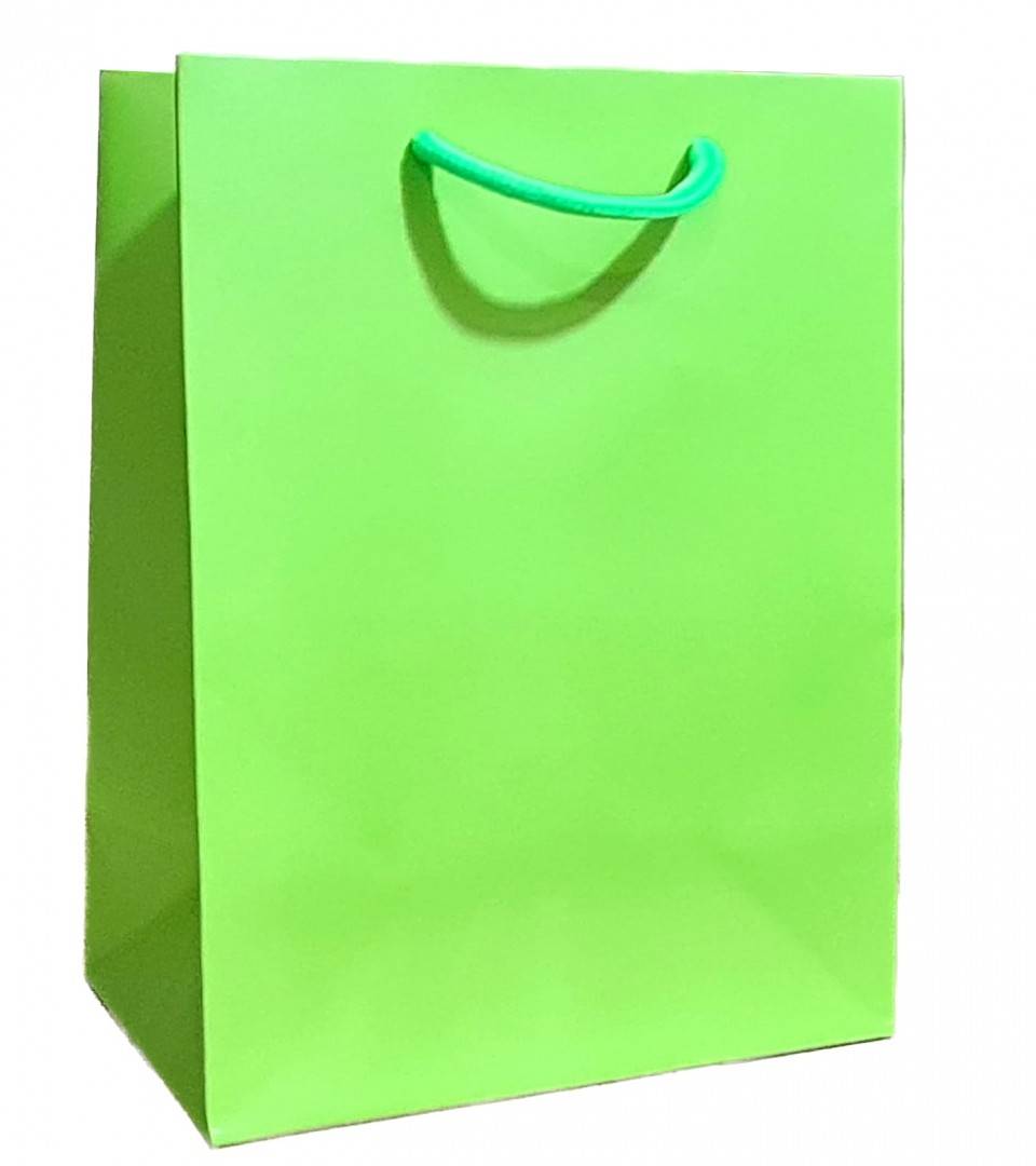 punga de cadou din hartie cartonata, snur textil impletit, uni, multicolor,26x32x12 cm