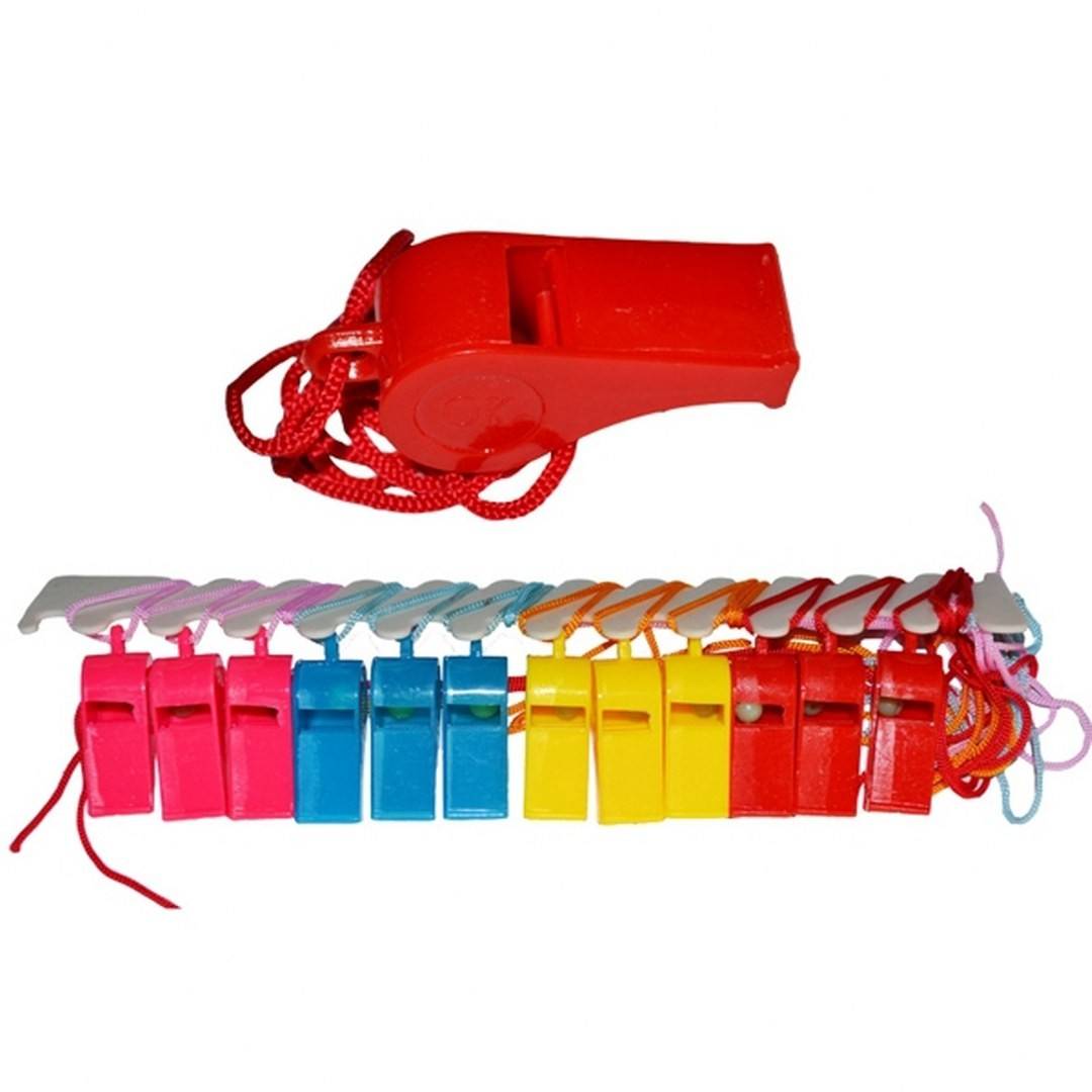 Set 24 fluiere plastic