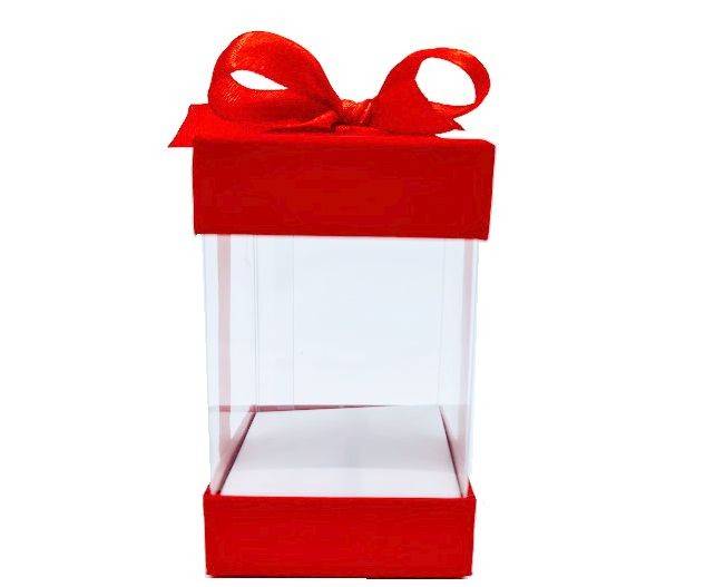 set 6 cutii transparente cu fundita rosie, cutie pentru flori de sapun, esarfe cu martisor, mici decoratiuni, 6x6x10 cm