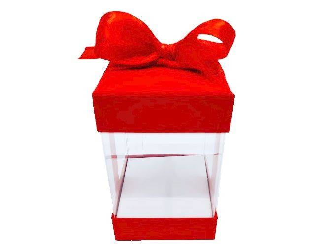 set 6 cutii transparente cu fundita rosie, cutie pentru flori de sapun, esarfe cu martisor, mici decoratiuni, 6x6x10 cm