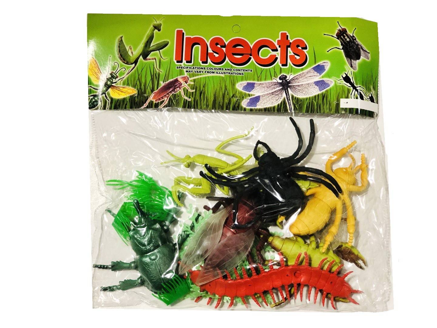 Set 7 insecte