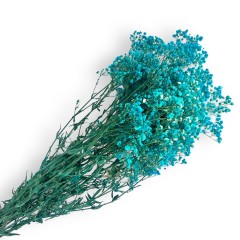 flori naturale stabilizate, gypsophila, 70 cm, turcoaz