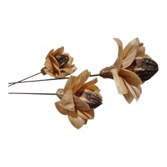 flori naturale stabilizate, set 3 bucati, crem, 57 cm