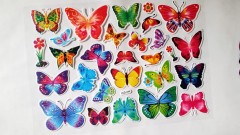 planseta de colorat + fluturi autoadezivi