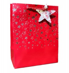 punga de cadou din hartie cartonata, snur satinat, rosu cu stelute argintii, cartonas pentru mesaj, 18x23x10 cm